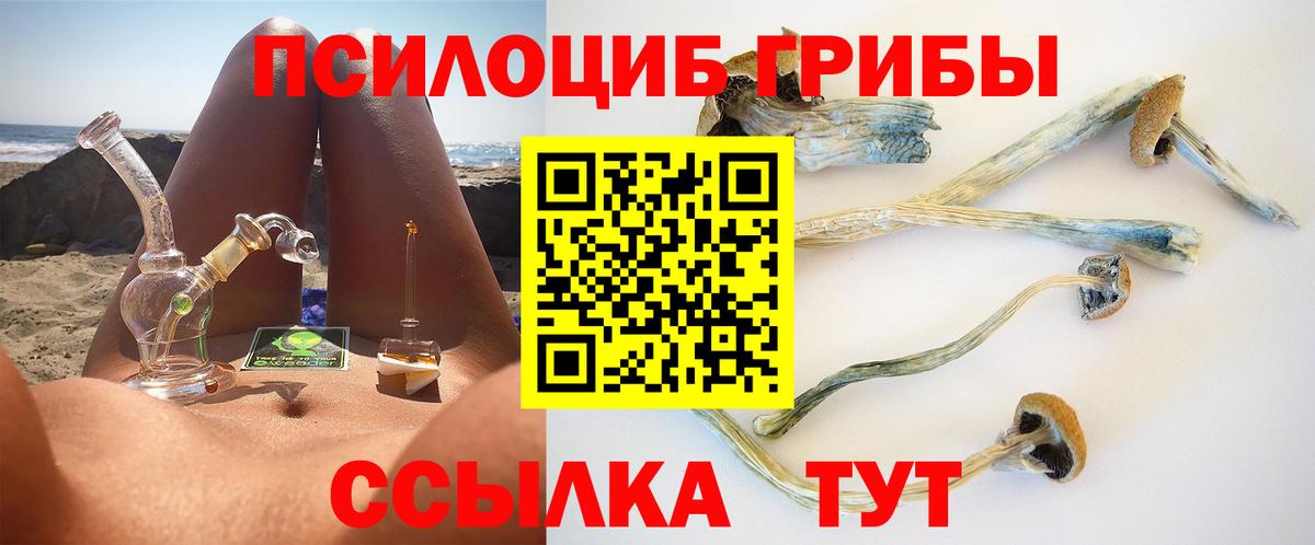 купить  цена  Вход с VPN  Карпинск  Галлюциногенные грибы Magic Shrooms 