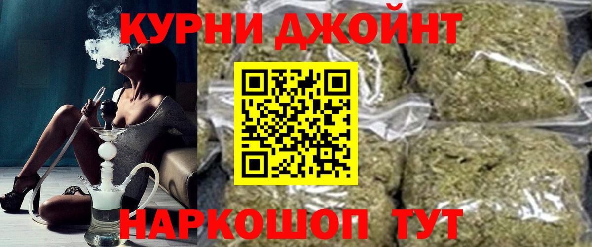 Канабис сатива Карпинск